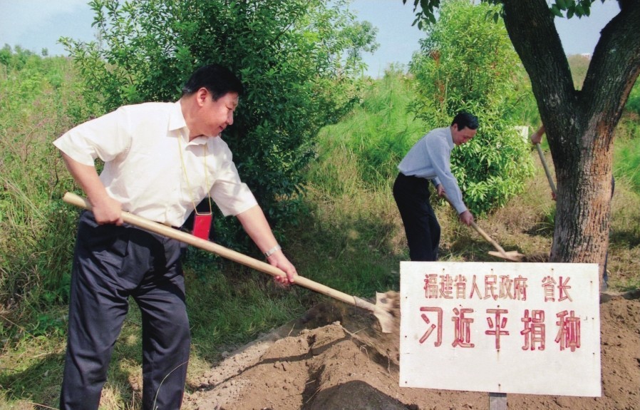 2001年10月，習(xí)近平在龍巖市長(zhǎng)汀縣調(diào)研水土流失治理工作，在河田世紀(jì)生態(tài)園為樹培土。圖源：《習(xí)近平在福建（下）》