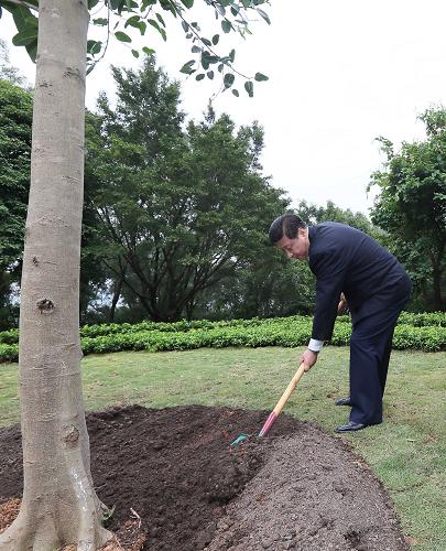 2012年12月7日至11日，習近平在廣東省考察工作。這是8日上午，習近平在深圳蓮花山公園種下一棵高山榕樹。新華社記者 蘭紅光 攝