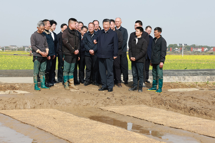 2024年3月18日至21日，中共中央總書記、國家主席、中央軍委主席習(xí)近平在湖南考察。這是19日下午，習(xí)近平在常德市鼎城區(qū)謝家鋪鎮(zhèn)港中坪村走進田間，察看秧苗培育和春耕備耕進展。新華社記者 王曄 攝